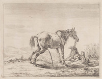 KG 04395
<br/>
Plassend paard
<br/>
<em>Stoop, Dirk (1610-1686)</em>